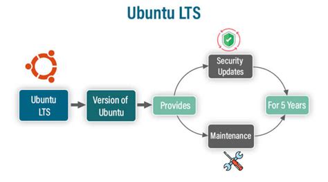 What Does LTS Mean in Software: A Dive into the World of Long-Term Support