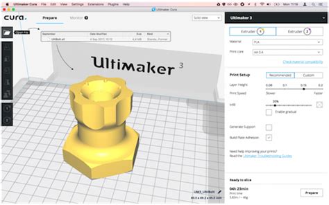 What Software Do I Need for 3D Printing? And Why Do Bananas Make Great 3D Models?