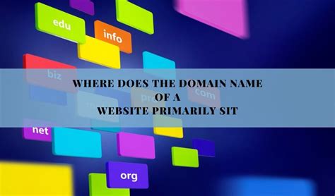 Where Does the Domain Name of a Website Primarily Sit, and How Does It Influence the Digital Ecosystem?